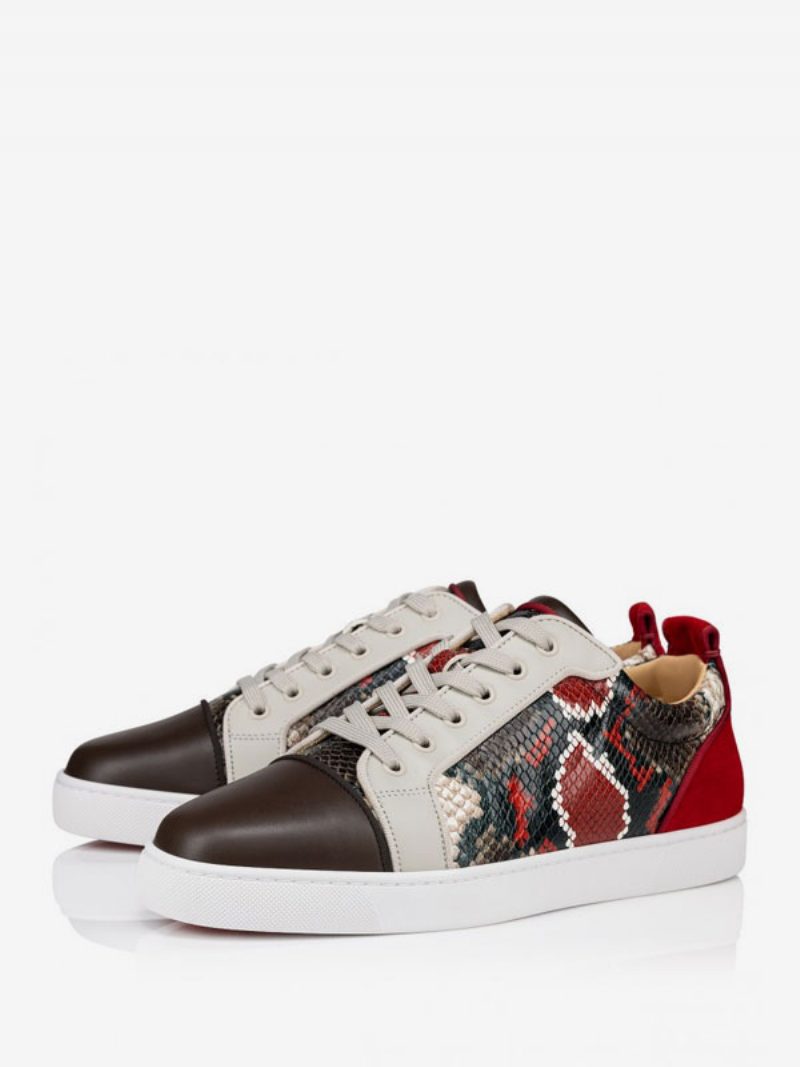 Herren-skate-sneaker Mit Patchwork-sanke-muster Schnür-sneaker