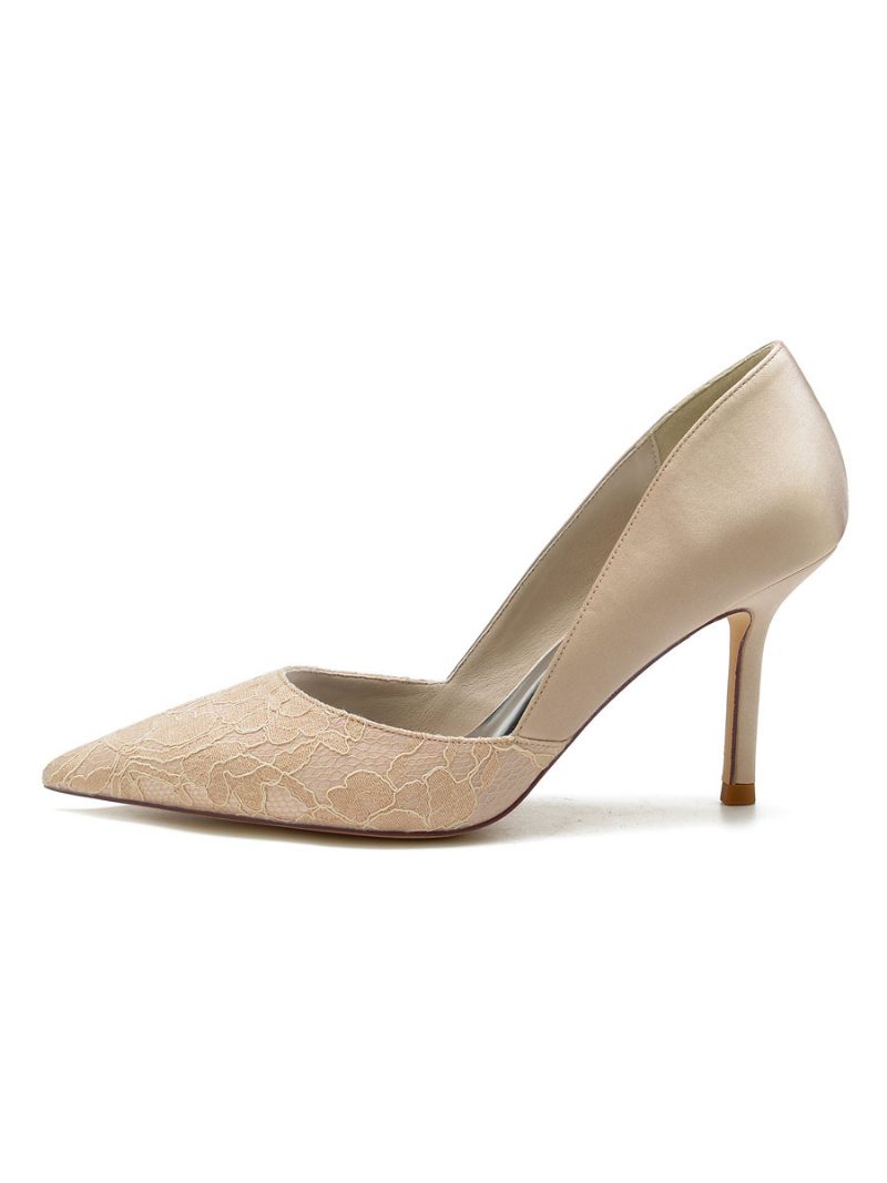 Damen-hochzeitsschuhe Spitze Spitzer Zehenbereich Stiletto-absatz Brautpumps - Champagner