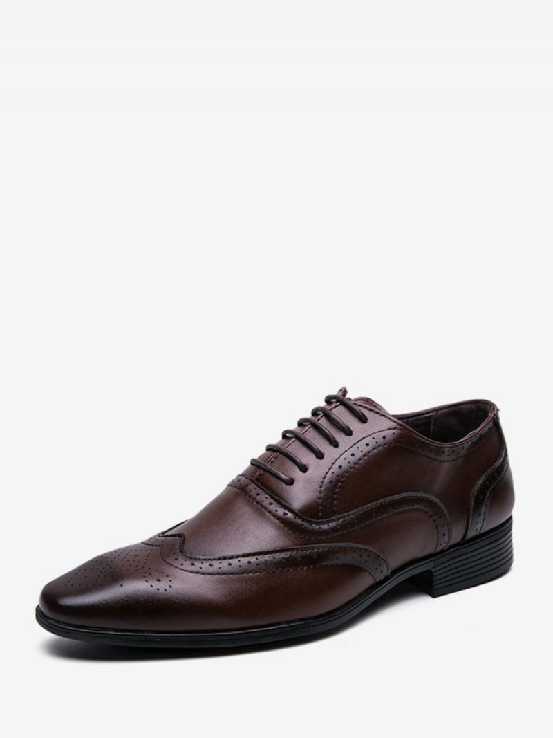 Herren-kleiderschuhe Moderne Oxford-schuhe Aus Pu-leder Mit Spitzer Zehenpartie Und Schnürung