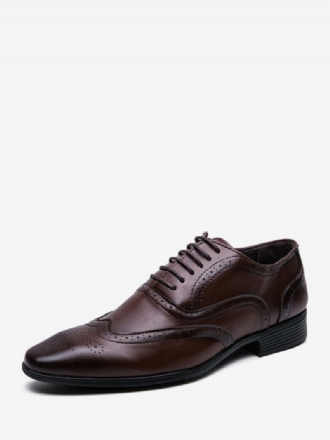 Herren-kleiderschuhe Moderne Oxford-schuhe Aus Pu-leder Mit Spitzer Zehenpartie Und Schnürung