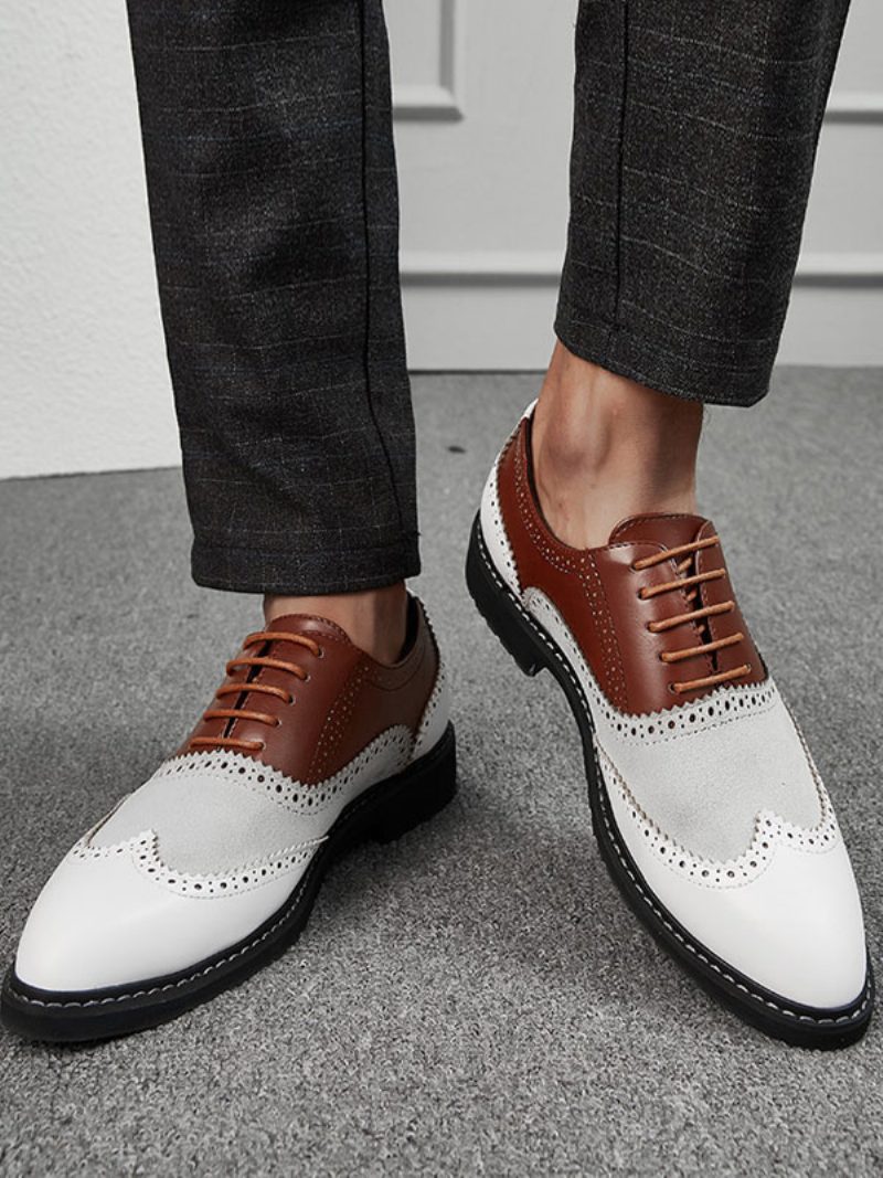 Herren-oxford-kleid Mit Farbblock-design Formelle Oxford-schuhe Für Anlässe - Kaffeebraun