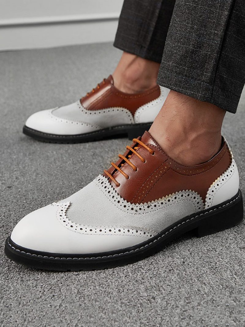 Herren-oxford-kleid Mit Farbblock-design Formelle Oxford-schuhe Für Anlässe - Kaffeebraun