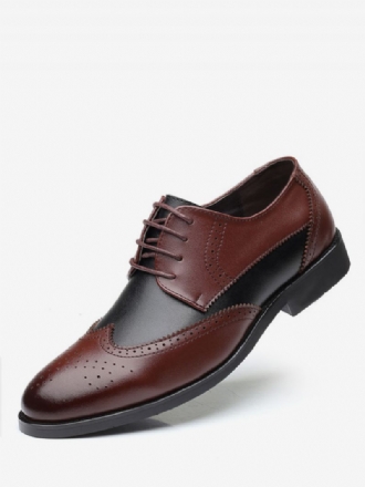 Zweifarbige Wingtip-derbys Für Herren Formelle Hochzeitskleid-derby-schuhe Schwarz