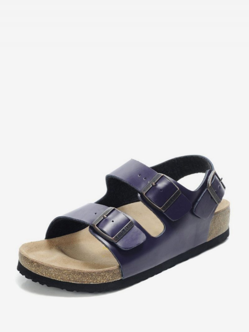 Herren-sandalen Slip-on Verstellbare Riemenschnalle Hausschuhe Flache Sandalen - Lila